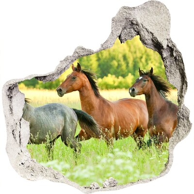 Pegatina efecto 3d pared rota decorativa Caballos corriendo en la naturaleza