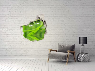 Pegatina efecto 3d pared rota decorativa Oasis verde con gotas de agua