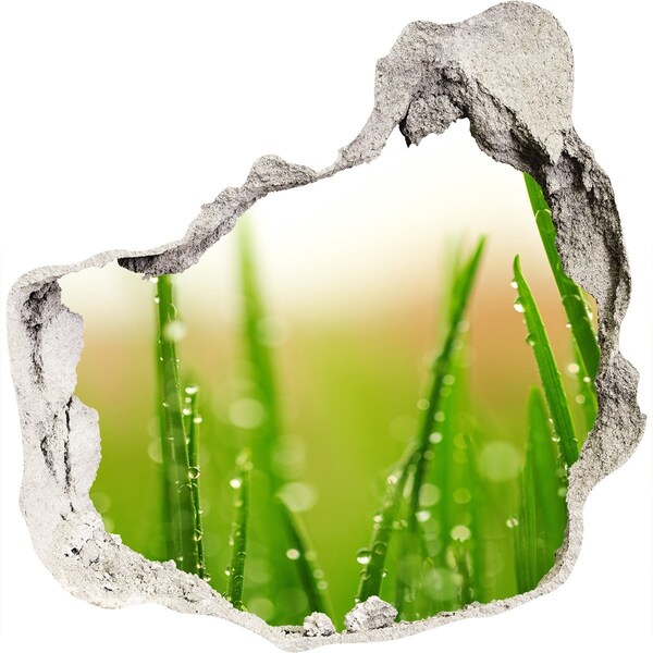 Vinilo adhesivo efecto agujero 3d para casa Prado verde con gotas de agua