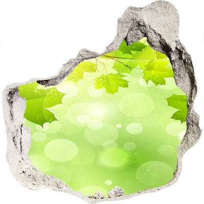 Vinilo adhesivo efecto agujero 3d para casa Un oasis verde entre las hojas.