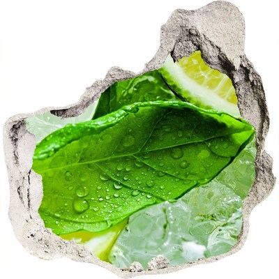 Vinilo decorativo boquete pared irregular Hojas de menta fresca sobre hielo