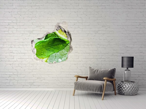 Vinilo decorativo boquete pared irregular Hojas de menta fresca sobre hielo