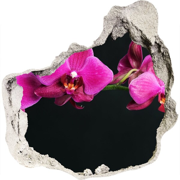 Vinilo adhesivo efecto agujero 3d para casa Orquídea a través de la pared