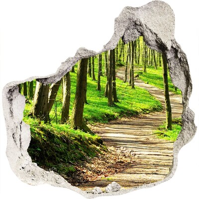 Pegatina efecto 3d pared rota decorativa Sendero forestal bajo el sol