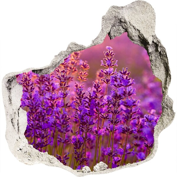 Pegatina efecto 3d pared rota decorativa prado de flores de lavanda