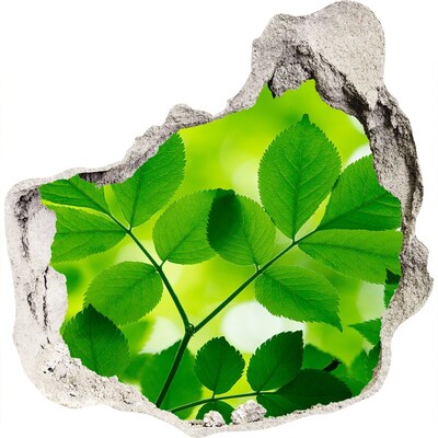 Vinilo adhesivo efecto agujero 3d para casa Un oasis verde en hormigón