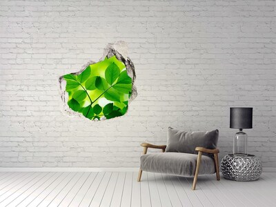 Vinilo adhesivo efecto agujero 3d para casa Un oasis verde en hormigón