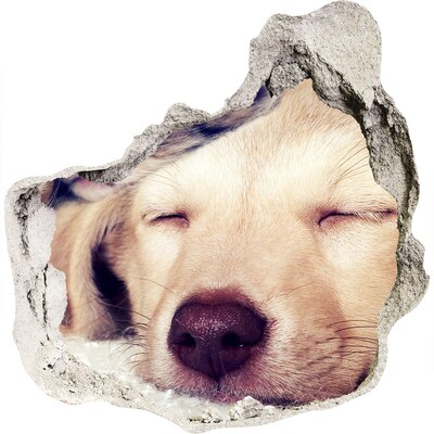 Pegatina efecto 3d pared rota decorativa Lindo perro en un agujero en la pared