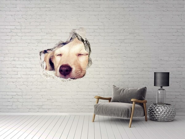 Pegatina efecto 3d pared rota decorativa Lindo perro en un agujero en la pared