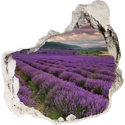 Vinilo decorativo boquete pared irregular Campos de lavanda bajo los rayos del sol poniente