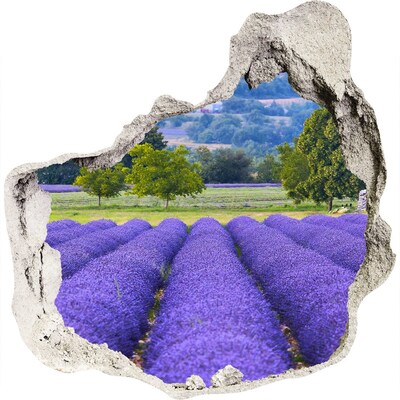 Vinilo adhesivo efecto agujero 3d para casa Campos de lavanda en Provenza
