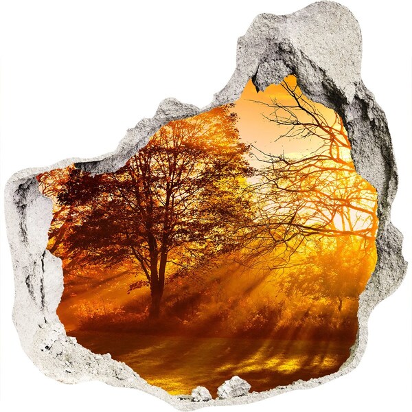 Pegatina pared rota trampantojo decorativo Rayos dorados de sol en el bosque.