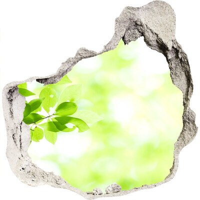 Vinilo adhesivo efecto agujero 3d para casa Paraíso verde detrás del muro