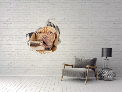 Vinilo decorativo boquete pared irregular Un lindo cachorro entre libros.