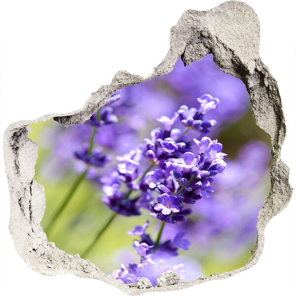 Pegatina efecto 3d pared rota decorativa Flores de lavanda en un agujero virtual