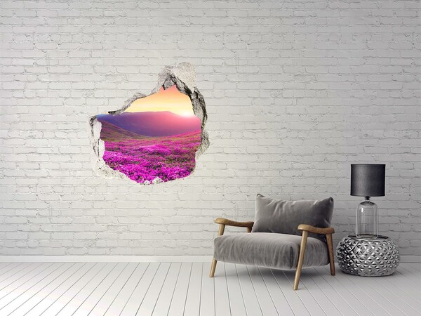 Vinilo decorativo boquete pared irregular Valle de las flores al atardecer