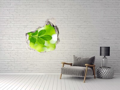Vinilo adhesivo efecto agujero 3d para casa Un oasis verde en hormigón