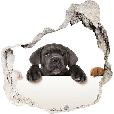 Pegatina pared rota trampantojo decorativo Dulce cachorro detrás de la pared.