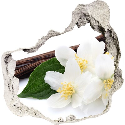 Vinilo adhesivo efecto agujero 3d para casa Flores de jazmín en hormigón