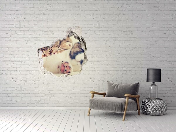 Vinilo adhesivo efecto agujero 3d para casa Lindos gatitos en un agujero en la pared.