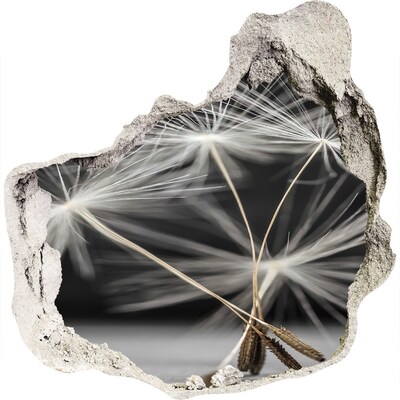 Pegatina pared rota trampantojo decorativo Flores de diente de león en hormigón