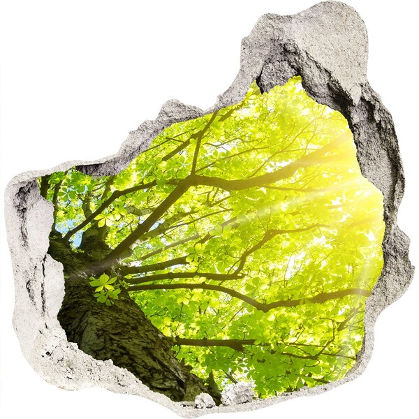 Pegatina pared rota trampantojo decorativo Bosque verde bajo los rayos del sol
