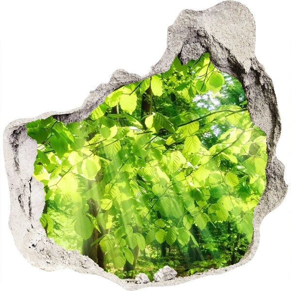 Pegatina pared rota trampantojo decorativo Bosque verde bajo los rayos del sol