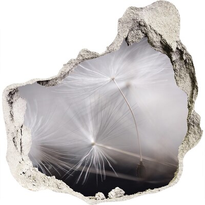 Vinilo adhesivo efecto agujero 3d para casa Dientes de león en hormigón