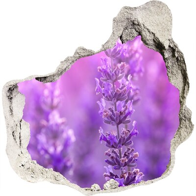 Vinilo adhesivo efecto agujero 3d para casa Flores de lavanda a la luz de la mañana.