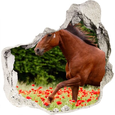 Vinilo adhesivo efecto agujero 3d para casa Un caballo en un campo de amapolas.