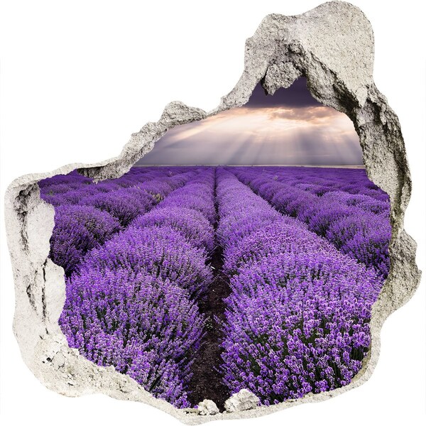 Vinilo decorativo boquete pared irregular Campos de lavanda a la luz del sol poniente