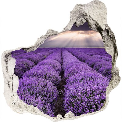 Vinilo decorativo boquete pared irregular Campos de lavanda a la luz del sol poniente