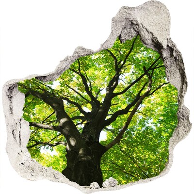 Pegatina pared rota trampantojo decorativo Bosque verde en un agujero en la pared