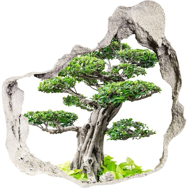 Samoprzylepna dziura na ścianę Bonsai w dziurze w ścianie