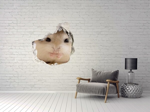 Vinilo adhesivo efecto agujero 3d para casa Adorable conejito en un agujero en la pared.