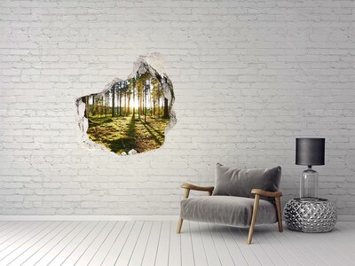 Pegatina efecto 3d pared rota decorativa Claro del bosque por la mañana