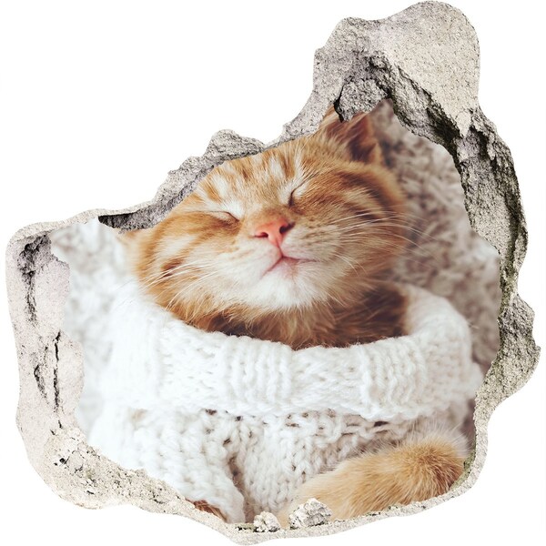 Pegatina pared rota trampantojo decorativo Lindo gato con un suéter