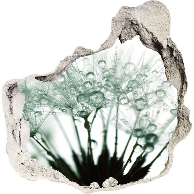 Pegatina pared rota trampantojo decorativo Un sueño floral detrás de la pared.