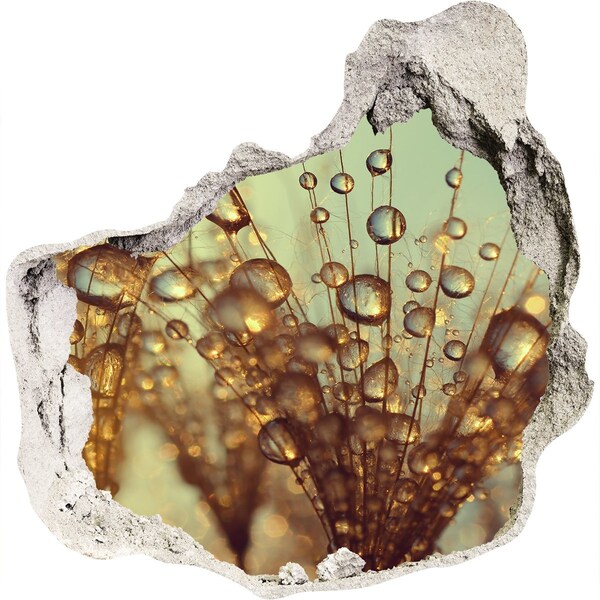 Samoprzylepna dziura na ścianę Krople na delikatnych włoskach