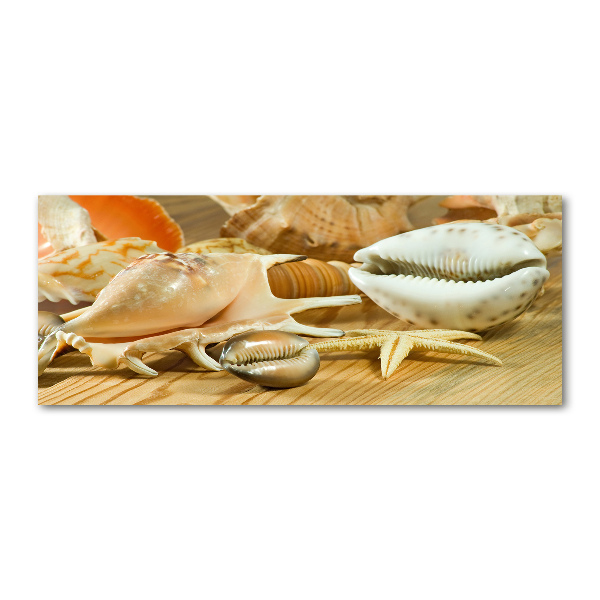 Foto en metacrilato horizontal Conchas sobre madera