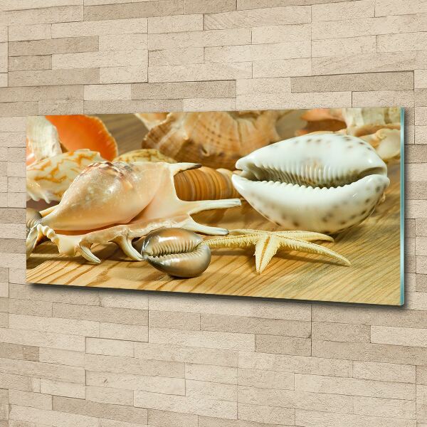 Foto en metacrilato horizontal Conchas sobre madera