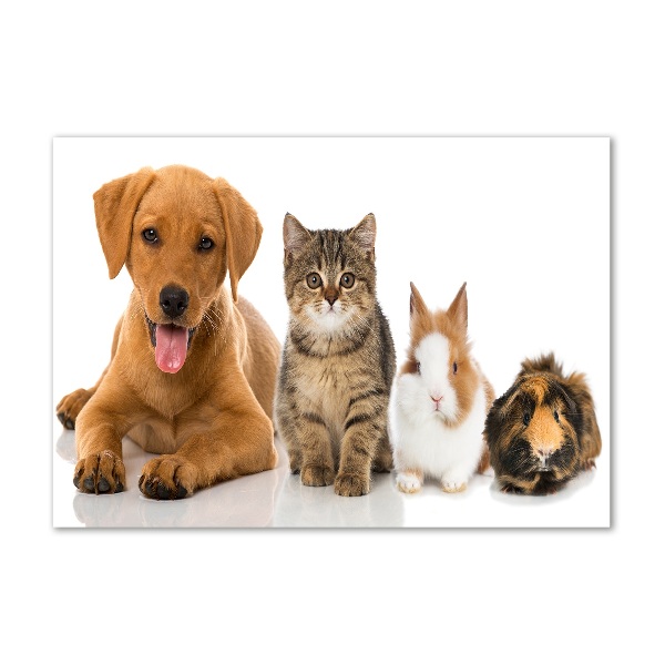 Pintura en acrílico horizontal Perro y gato