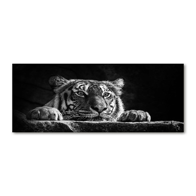 Foto en metacrilato horizontal Tigre