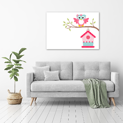 Obraz zdjęcie szkło akryl Sowa na gałęzi