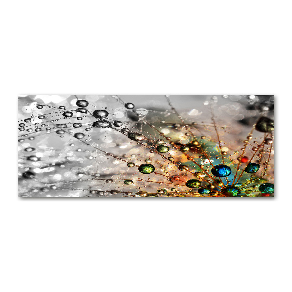 Cuadro metacrilato horizontal semillas de diente de león