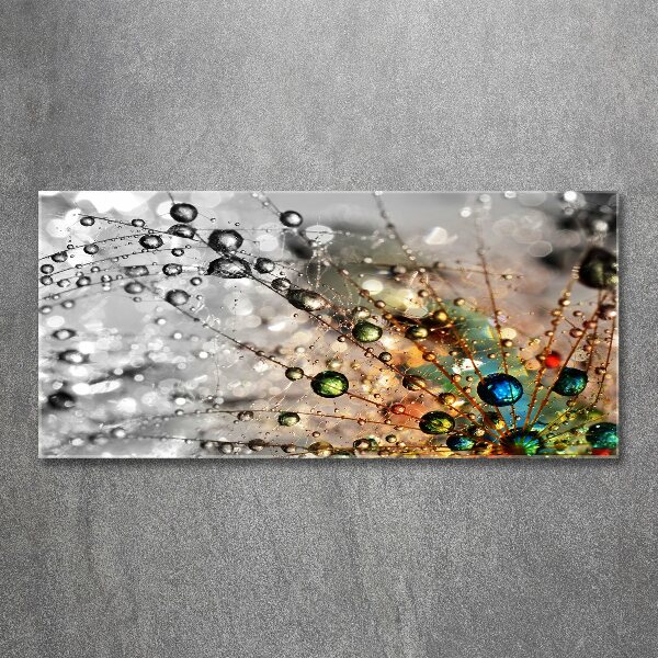 Cuadro metacrilato horizontal semillas de diente de león