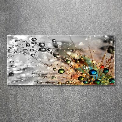 Cuadro metacrilato horizontal semillas de diente de león