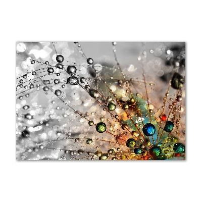 Cuadro metacrilato horizontal semillas de diente de león