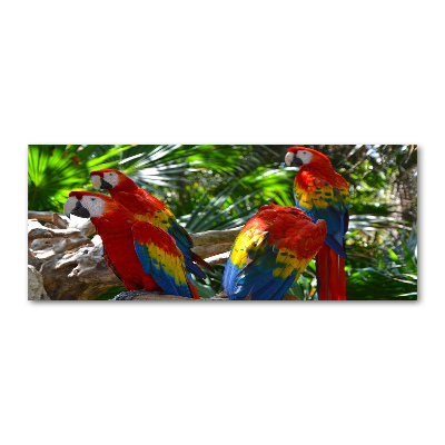 Pintura en acrílico horizontal Loros guacamayos