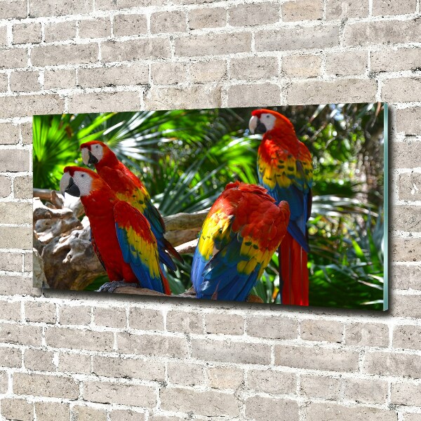 Pintura en acrílico horizontal Loros guacamayos